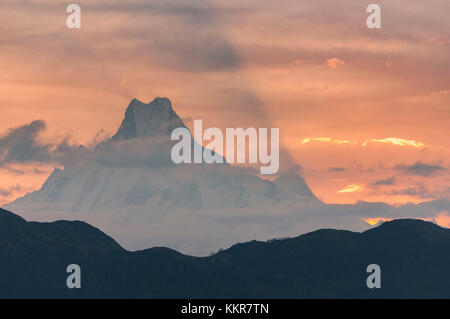 Die fishtail Gipfel des machhapuchhare im Morgengrauen, Annapurna region, Nepal, Asien Stockfoto