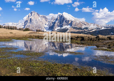 Seiser Alm, Dolomiten, Südtirol, Italien. Blick von der Seiser Alm auf die Gipfel des Langkofel und Plattkofel/Plattkofel Stockfoto