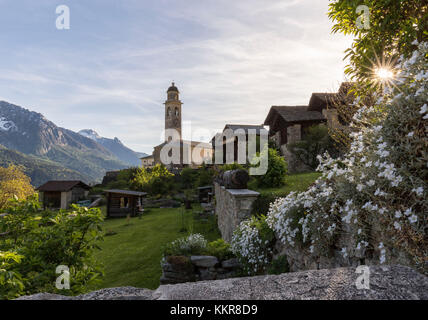 Blick auf Soglio zwischen Wiesen und schneebedeckten Gipfeln im Frühling bei Sonnenuntergang Maloja Kanton Graubünden Engadin Bregaglia Tal Schweiz Europa Stockfoto