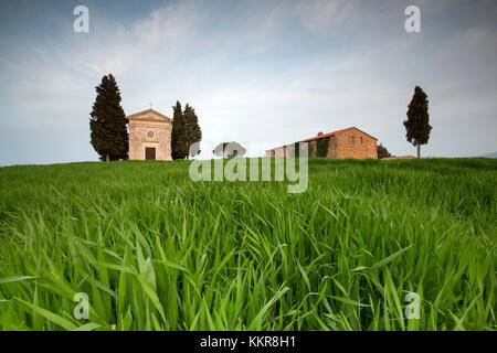 Europa, Italien, Toskana, Siena, Val d'Orcia. Stockfoto