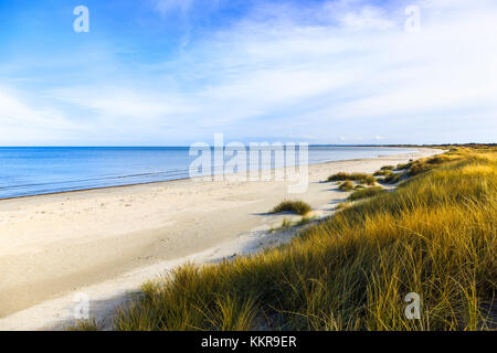 Strand in das kleine Dorf Aalbæk in der Nähe von Skagen im Bereich der Kattegat Stockfoto