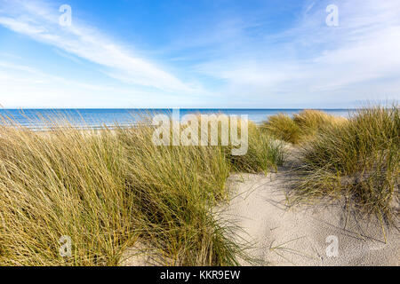 Strand in das kleine Dorf Aalbæk in der Nähe von Skagen im Bereich der Kattegat Stockfoto