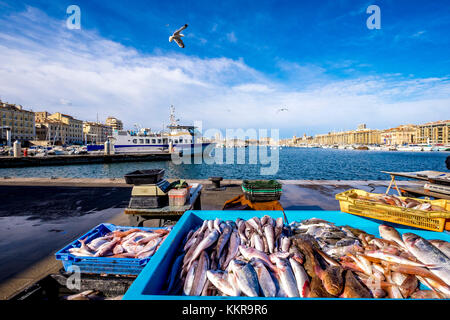 Fisch Verkäufer auf dem Fischmarkt am alten Hafen Vieux Port, Marseille, Bouches-du-Rhone, Provence-alpes-côte d'Azur, Südfrankreich, Frankreich, Europa Stockfoto