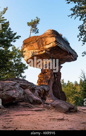 In der Nähe von Stadt Dahn besichtigt den berühmten Teufelstisch Stockfoto