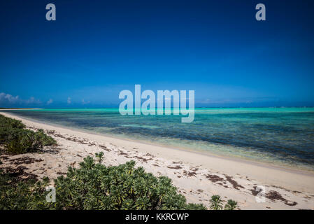 Britische Jungferninseln, anegada, Knochen, Knochen Strand Bucht Stockfoto