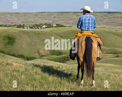 Cowboy auf Pferd Stockfoto