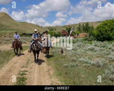 Pferd Reiter ridershorse Stockfoto