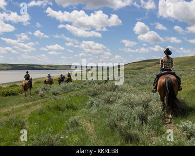 Pferd Reiter ridershorse Stockfoto