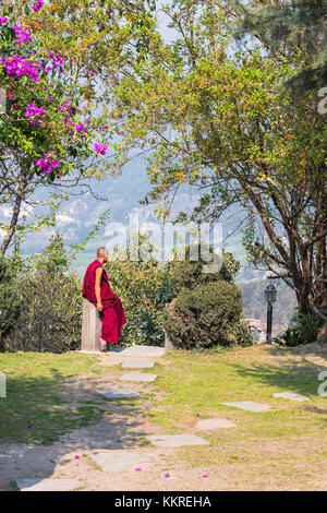 Das Kloster Kopan, Katmandu, Nepal buddhistischer Mönch bewundert das Kathmandu Tal Stockfoto