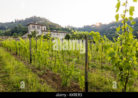 Sonnenaufgang auf dem alten Kloster von astino longuelo von Weinbergen, Provinz Bergamo, Lombardei, Italien, Europa Stockfoto