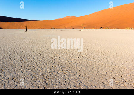 Dead Vlei, abgestorbene Akazien in der Namib Wüste bei Sonnenaufgang, Namibia. Afrika Stockfoto