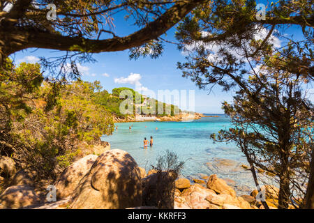 Felsen und Bäume in Capriccioli, Arzachena Costa Smeralda, Provinz Olbia-Tempio, Sardinien, Italien Stockfoto