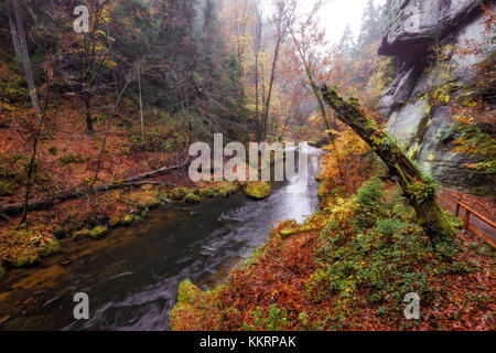 Die kamnitz Schlucht im Nationalpark Sächsische Schweiz Stockfoto