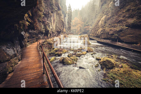 Die kamnitz Schlucht im Nationalpark Sächsische Schweiz Stockfoto