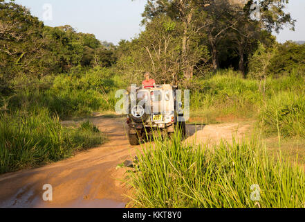 Elefantsafari im Hurulu Eco Park Biosphäre zu reservieren, Habarana, Distrikt Anuradhapura, Sri Lanka, Asien Stockfoto