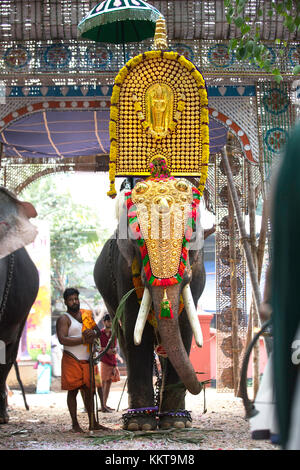 Caparisoned oder geschmückten Elefanten mit chenda melam aus einem pooram Festival, eravimangalam shashti, thrissur, Kerala, Indien, pradeep Subramanian Stockfoto