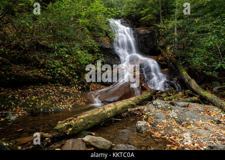 Hollow log Falls ist ein wunderschön Cascading 25 m hohen Wasserfall im Pisgah National Forest in Transylvania County. zwar relativ leicht zu zu erhalten, sind sie nicht häufig besuchten im Vergleich zu anderen Wasserfällen im Bereich. Sie sind ca. 1/2 Meile, FS5043, ist eine alte Protokollierung Straße. die Wanderung in ist sehr einfach, und Sie in der Regel reichlich Wildblumen sehen, es sei denn, Sie besuchen in den kälteren Monaten. Die Fälle selbst haben das Grundgestein geglättet am unteren Ende der Fälle, in denen dicken Adern der Quarz sichtbar sind. wenn Sie eng in die Stream beobachten, sehen Sie Stockfoto