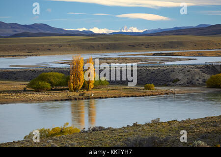 Pappeln und La Leona Fluss, Patagonien, Argentinien, Südamerika Stockfoto