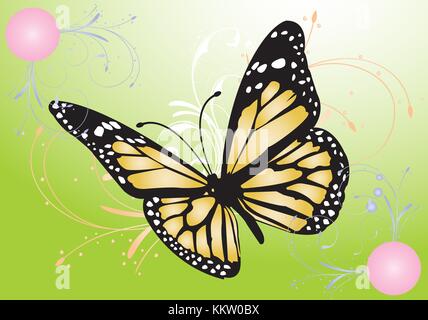 Bild von einem Schmetterling Stockfoto
