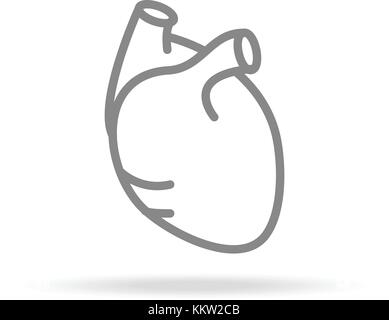 Das menschliche Herz, Kardiologie Symbol in trendigen dünne Linie Stil auf weißem Hintergrund. medizinische Symbol für ihr Design, Apps, Logo, Ui. Vector Illustration. Stock Vektor