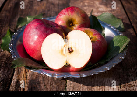 Real Bio Apfel in Metallplatte. Selektive konzentrieren sich auf die vorderen Scheiben apple Stockfoto