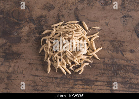 Hand Made trofie typische frische Pasta aus Ligurien Stockfoto