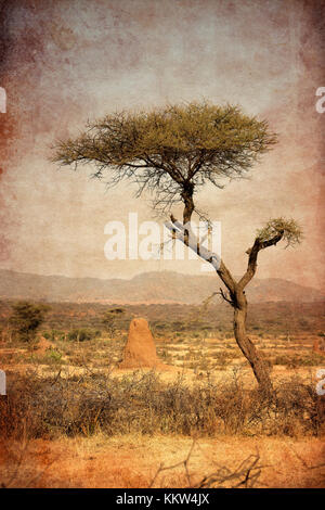 Isolierter Akazienbaum und Termitennest Stockfoto