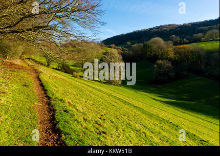 Brendon Hills in der Nähe von nettlecombe Park in Somerset, England Stockfoto