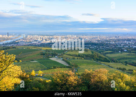 Blick vom Berg Kahlenberg in Wien, Donau, Weinberge, Wien, Wien, Übersicht, Wien, Österreich Stockfoto