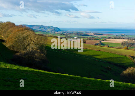 Blick Richtung minehead und exmoor in der Nähe des Dorfes roadwater, Somerset Stockfoto