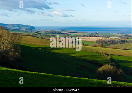 Blick Richtung Minehead und Exmoor in der Nähe des Dorfes Roadwater, Somerset Stockfoto