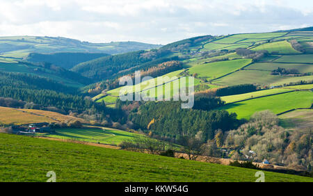 Exmoor in der Nähe des Dorfes Roadwater, Somerset Stockfoto