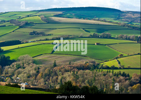 Exmoor in der Nähe des Dorfes Roadwater, Somerset Stockfoto