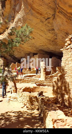 Colorado, USA, 25. Juni 2013: Der Cliff Palace, Mesa Verde in Colorado. Stockfoto