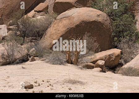 Spitzkoppe Gruppe von kahlen Granitgipfel in der Namib Wüste von Namibia Stockfoto