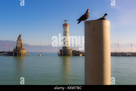 Tauben sitzen auf einem Poller am Lindauer Hafen Stockfoto