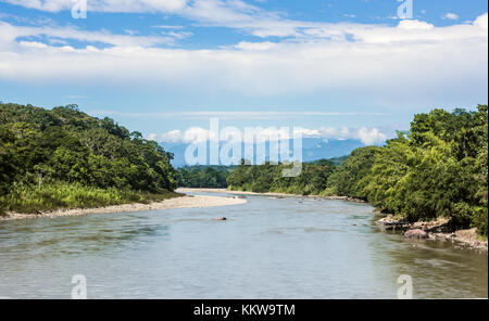 Amazonas Regenwald. Napo River. Provinz napo, ecuador Stockfoto