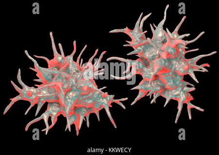 Acanthamoeba castellanii Amöben, computer Abbildung. Dies ist der reproduktiven und ansteckende Stadium des Organismus, oder trophozoite bilden. A. castellanii, einer frei lebenden einzelliger Organismus, ist in allen aquatischen Lebensräume und Boden gefunden. Es kann das Auge verursacht Acanthamoeba Keratitis, eine potentiell blendende Entzündung der Hornhaut infizieren. Obwohl selten, Infektion ist häufiger bei Kontaktlinsenträger. Stockfoto