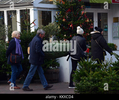 London, Großbritannien. 02 Dez, 2017. xmas Bäume auf Verkauf am ersten Wochenende im Dezember gehen in Northcote Road in Battersea, wandsworth. Credit: Johnny armstead/alamy leben Nachrichten Stockfoto