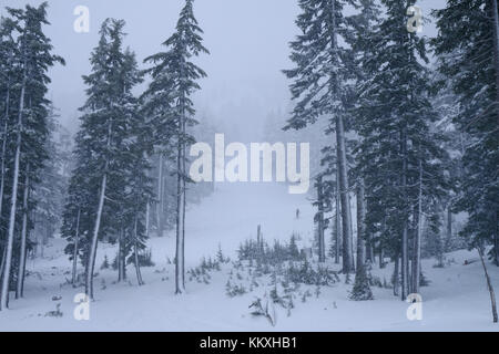 Mount Bachelor, Bend, Oregon, USA, 2. Dezember 2017. Starker Schneefall und Whiteout führte dazu, dass viele Skifahrer früh verlassen am Mount Bachelor Ski Resort. Stockfoto