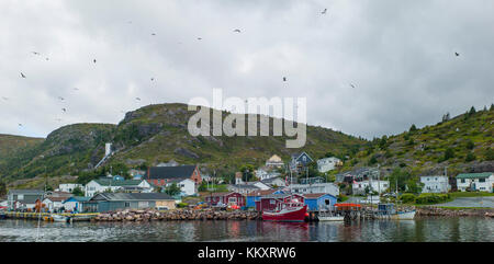 Silber muse Kreuzfahrtschiff Zwischenstopp an st. John's eine Stadt in Neufundland und Labrador, Kanada einen lokalen Fischerdorf am kleinen Hafen - maddox Cove. Stockfoto