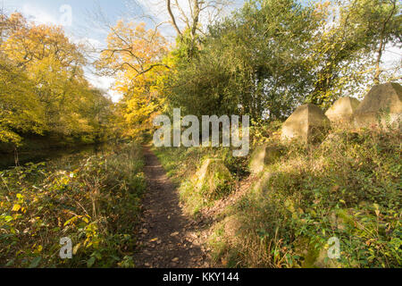 Anti-tank Abwehr (Drachen Zähne) neben der Basingstoke Canal an Crookham in Hampshire Stockfoto