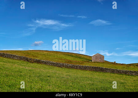 Eine alte Steinscheune und trockene Steinmauern, die an einem schönen Sommertag in einer hügeligen Landschaft im Herzen der Yorkshire-Täler stehen. Stockfoto