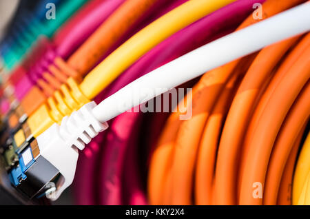 Bunte Netzwerkkabel an einen Switch angeschlossen Stockfoto