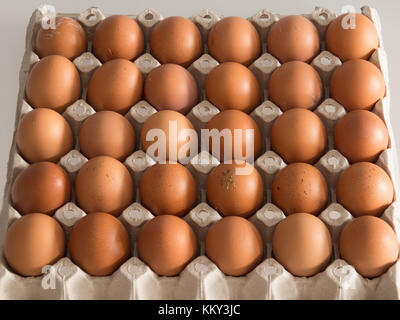 Blick von oben auf die braunen Huhn Eier im Karton. Stockfoto