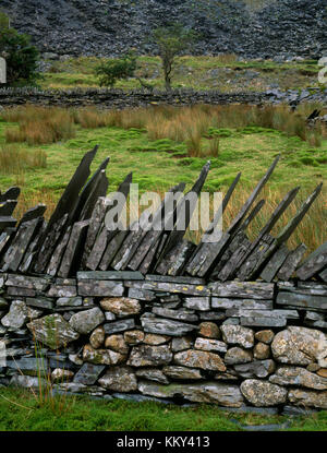 Eine Trockensteinmauer im viktorianischen Schieferbruch Llyn Cwmorthin in der Nähe von Blaenau Ffestiniog, Wales, Großbritannien, gekrönt von Schieferblöcken und schrägen Schieferdornen. Stockfoto