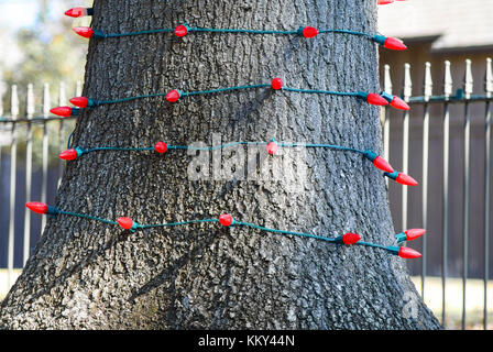 Red christmas tree Lights um Baum vor verschwommenen Hintergrund mit schmiedeeisernen Zaun verpackt Stockfoto