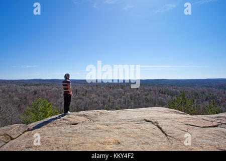 Sicht innerhalb der Algonquin Nationalpark - Kanada Stockfoto