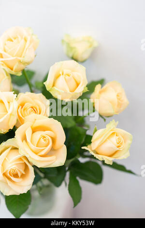 Hochzeit, Pflanzen, Blumenarrangements Konzept. In der Nähe von große Zarte Knospen von wunderbaren Blumen, cremig gelbe Rosen auf der weißen sind Stockfoto