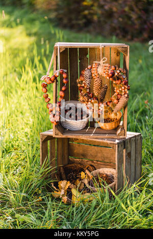 Wiese, Holzkisten, herbstliche Dekoration, Stockfoto